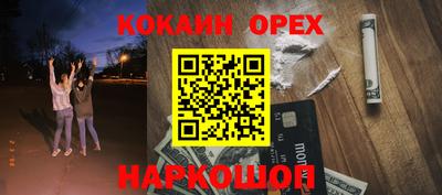 тгк Новодвинск