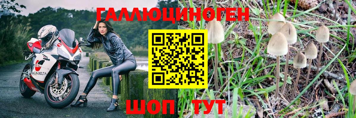 Псилоцибиновые грибы Psilocybine cubensis  Вход с VPN  Трёхгорный  Галлюциногенные грибы Magic Shrooms 