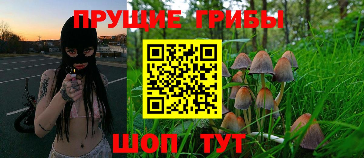 Галлюциногенные грибы прущие грибы Трёхгорный